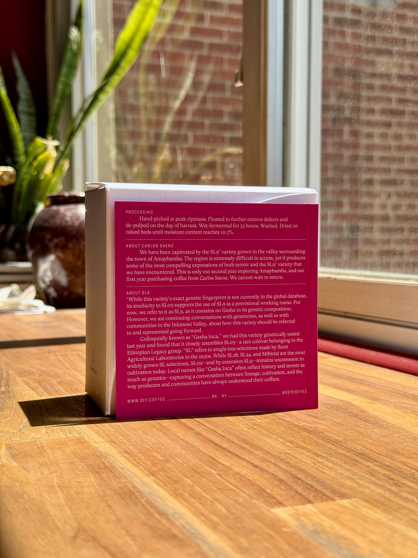 CARLOS SAENZ – MACHAY PATA – SL*, WASHED – PERU