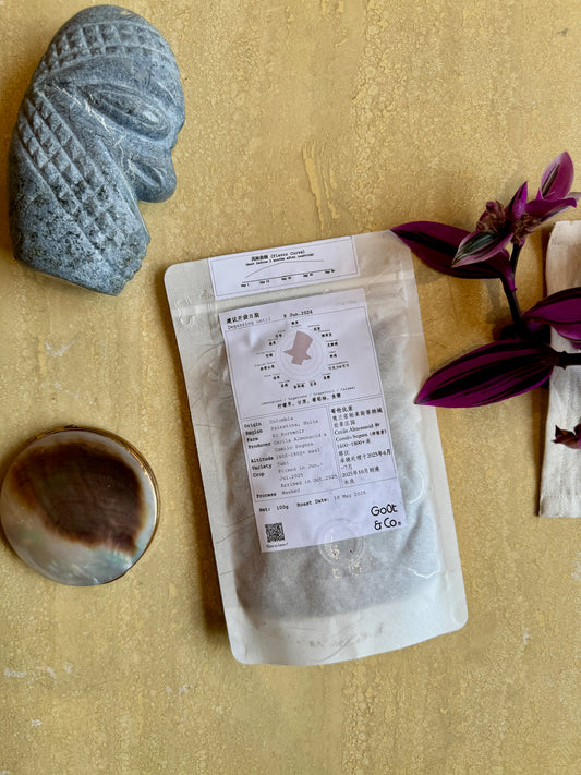 EL PORVENIR – TABI, WASHED – COLOMBIA
