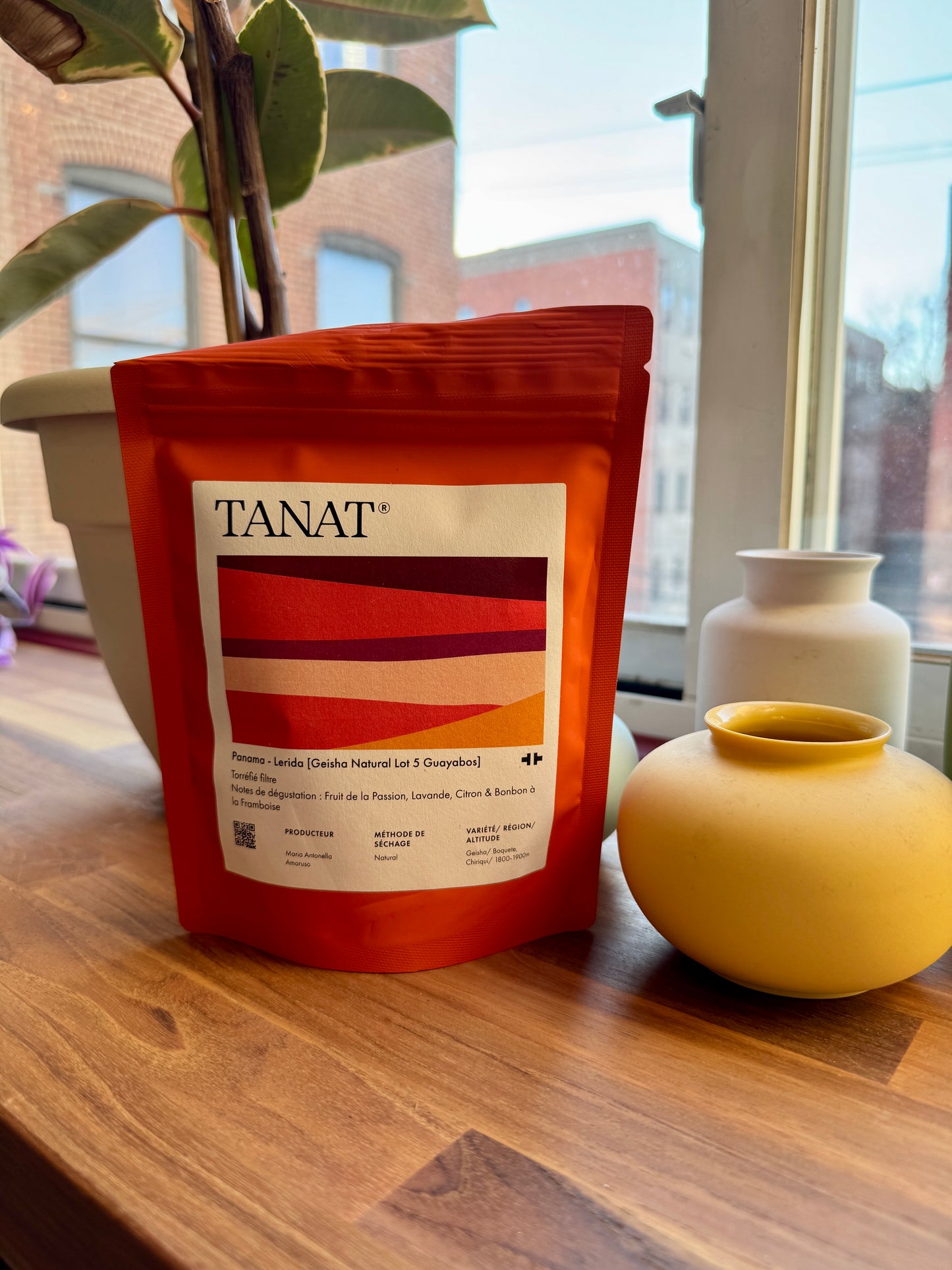 TANAT - LERIDA GEISHA – NATURAL – LOT 5 GUAYABOS