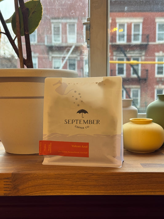 SEPTEMBER - VOLCAN AZUL – TYPICA ANAEROBIC