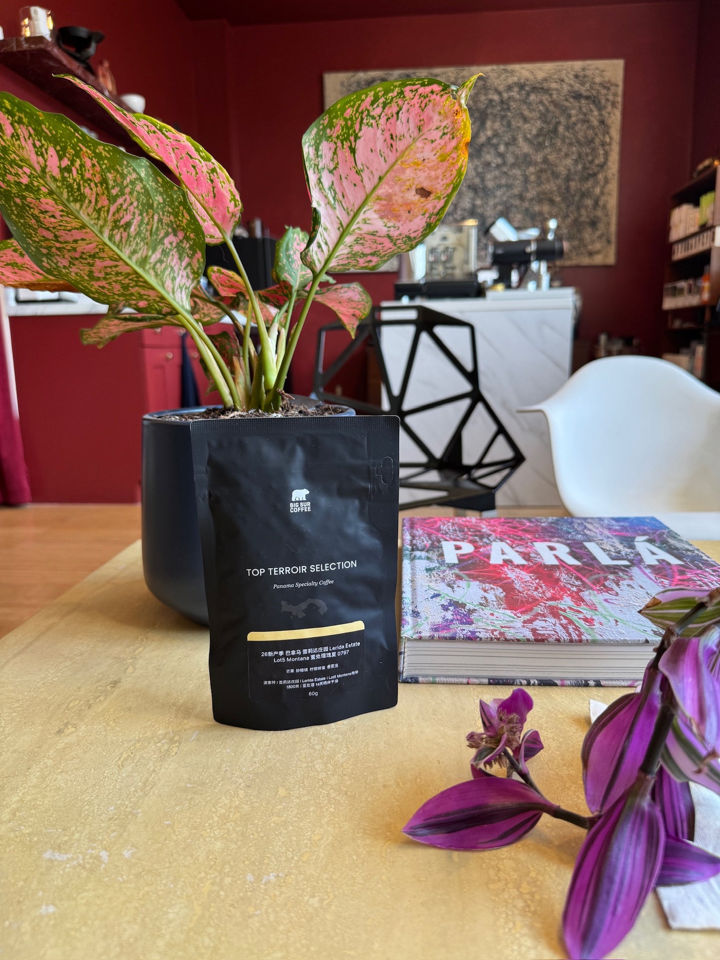 LERIDA ESTATE LOT 5 MONTANA 0797 - GEISHA, HONEY - PANAMA