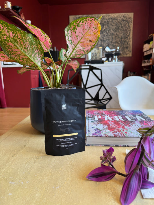 LERIDA ESTATE LOT 5 MONTANA 0797 - GEISHA, HONEY - PANAMA