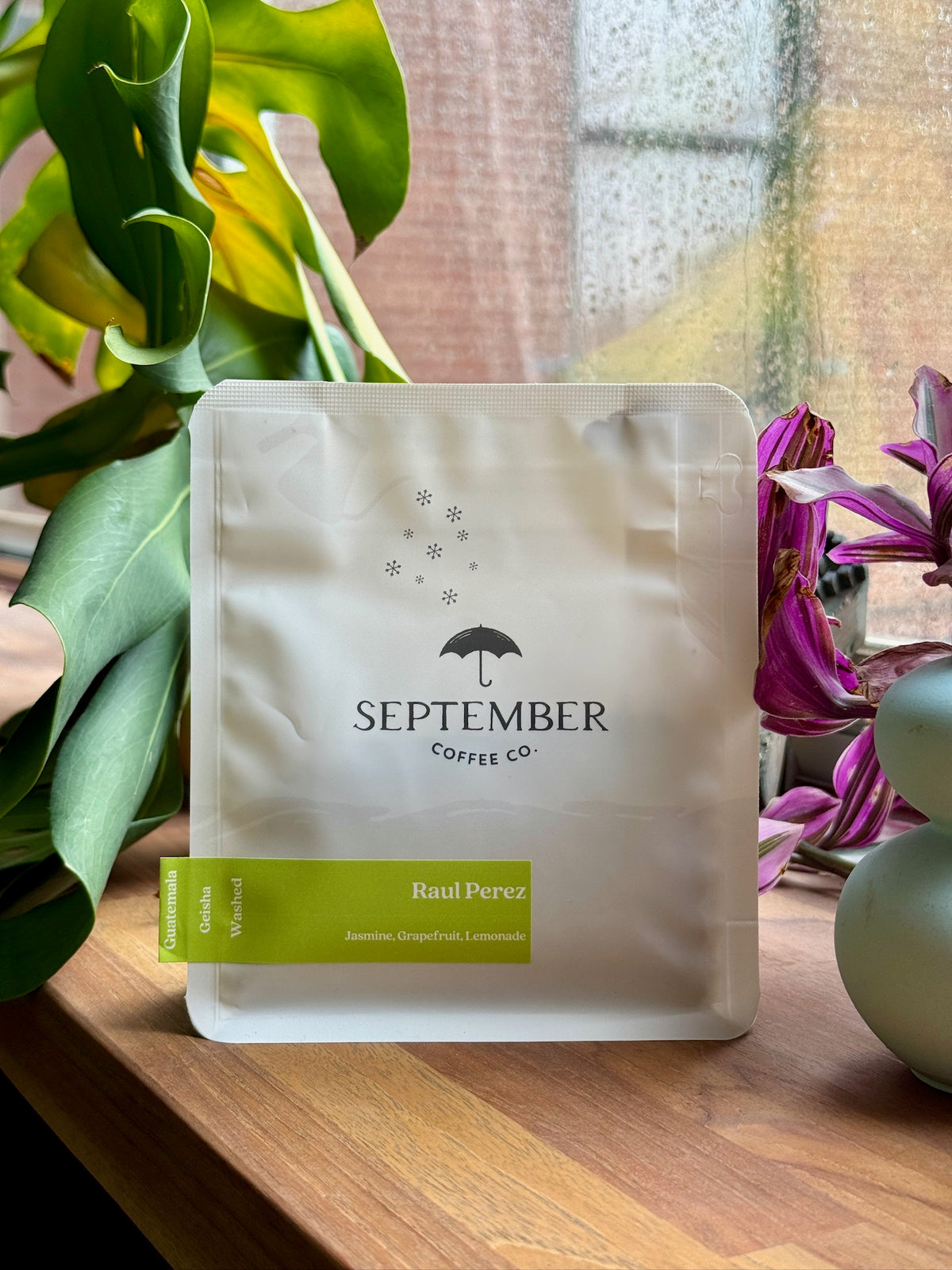 RAUL PEREZ - GEISHA, WASHED - GUATEMALA