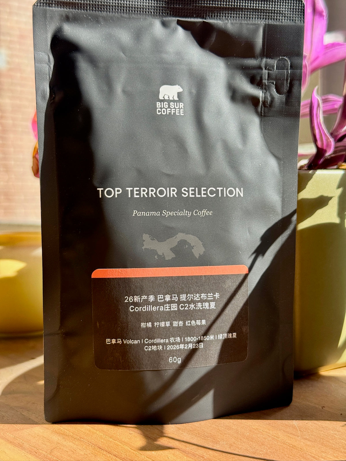 TIERRA BLANCA CORDILLERA C2 - GREEN TIP GEISHA, WASHED - PANAMA