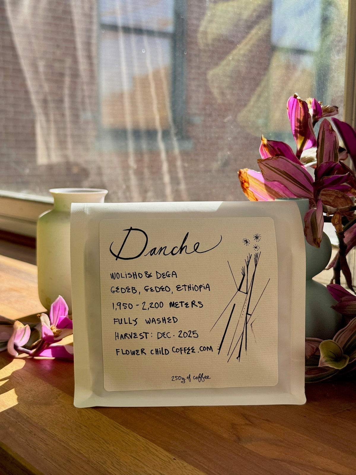 DANCHE - ETHIOPIAN LANDRACE, WASHED - ETHIOPIA