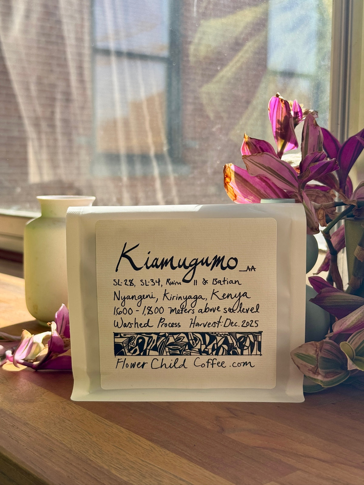 KIAMUGUMO AA - SL-28, SL-34, RUIRU 11 & BATIAN, WASHED - KENYA
