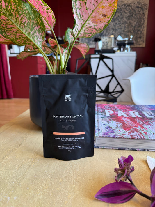 ELIDA DRD TORRE 070326 - GEISHA, WASHED - PANAMA
