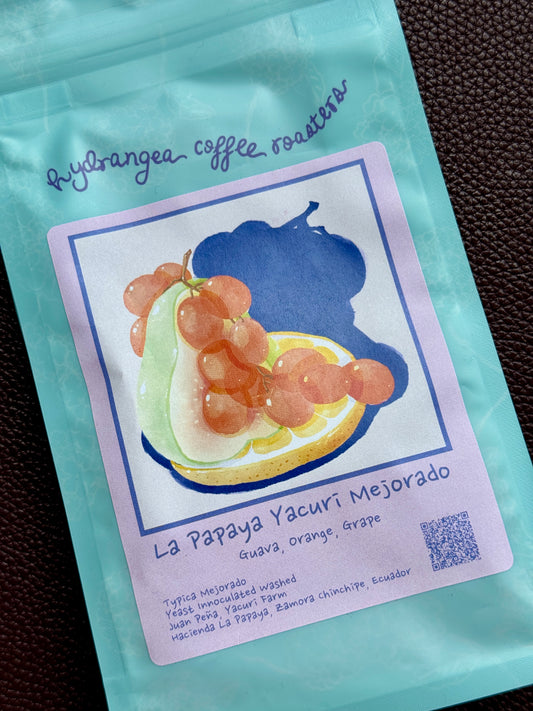 LA PAPAYA YACURI - TYPICA MEJORADO, YEAST WASHED - ECUADOR