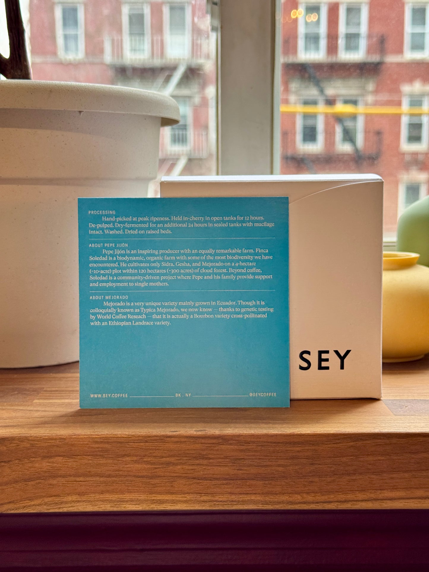 SEY - PEPE JIJÓN – MEJORADO TYOXY WASHED