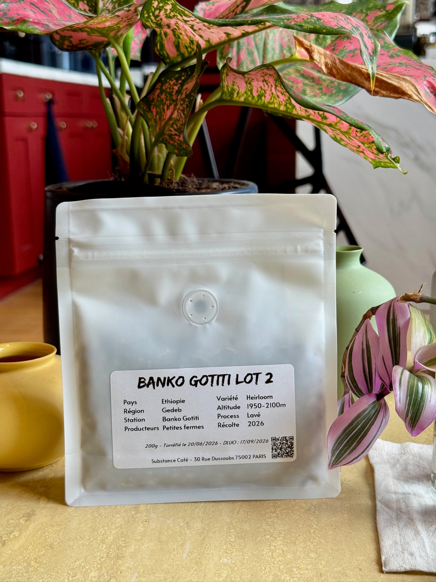 BANKO GOTITI LOT 2 - HEIRLOOM, WASHED - ETHIOPIA