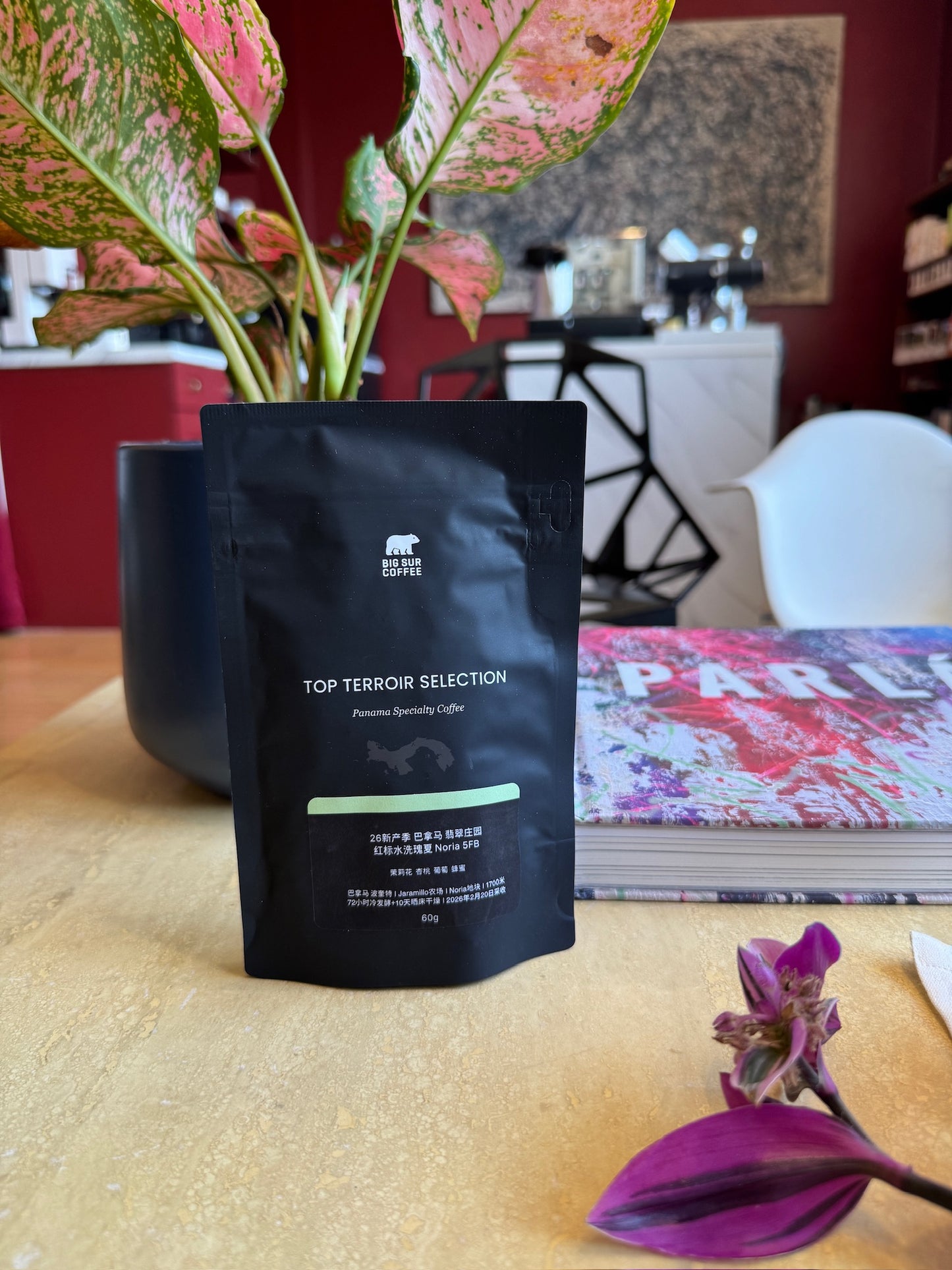 ESMERALDA SPECIAL NORIA 5FB - GEISHA, WASHED - PANAMA
