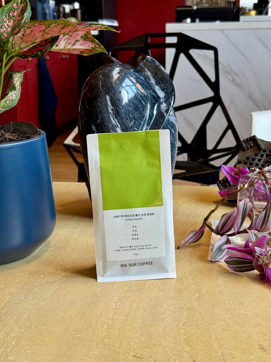HUILA CHIROSO ECLIPSE IMPERIAL - CHIROSO, WASHED - COLOMBIA