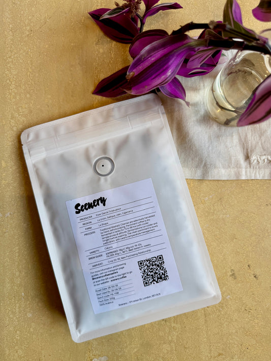ELZER GARCÍA TICLAHUANCA – CATURRA, WASHED – PERU