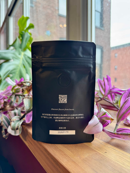 BIG SUR - ELIDA ESTATE WASHED GREEN TIP GEISHA DRD AGUACATE 250325