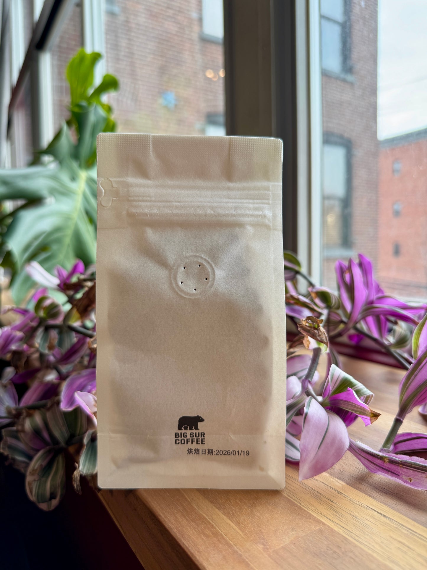 BIG SUR - ALASKA DEL SUR FARM WASHED SIDRA