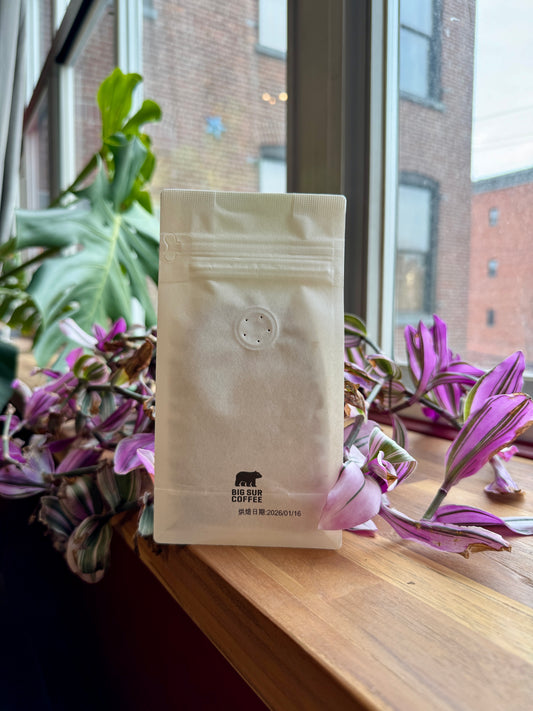 BIG SUR - FINCA MIRAFLORES COLD WATER FERMENTATION WASHED GEISHA 140