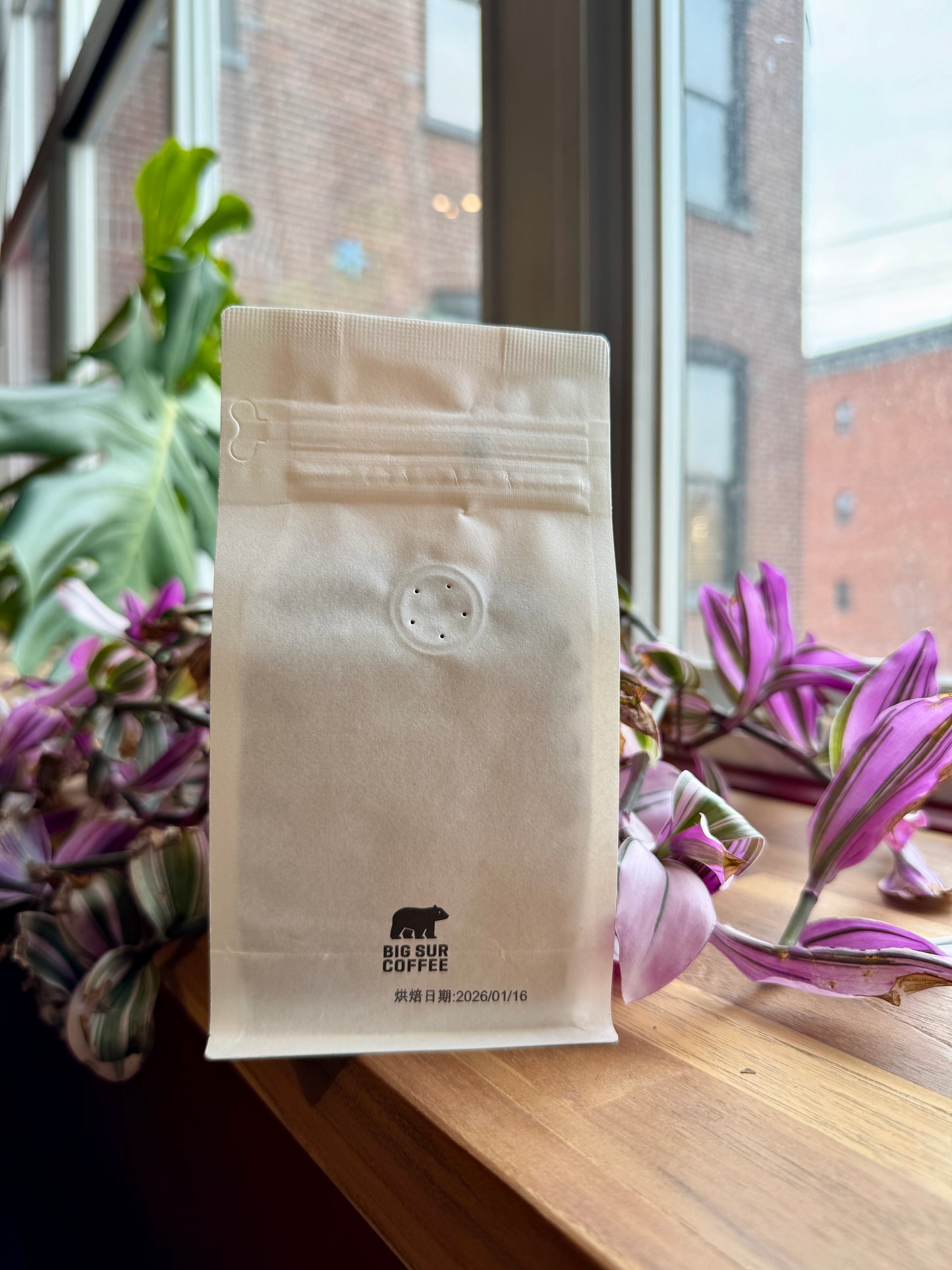 BIG SUR - SAN ANTONIO WASHED GEISHA