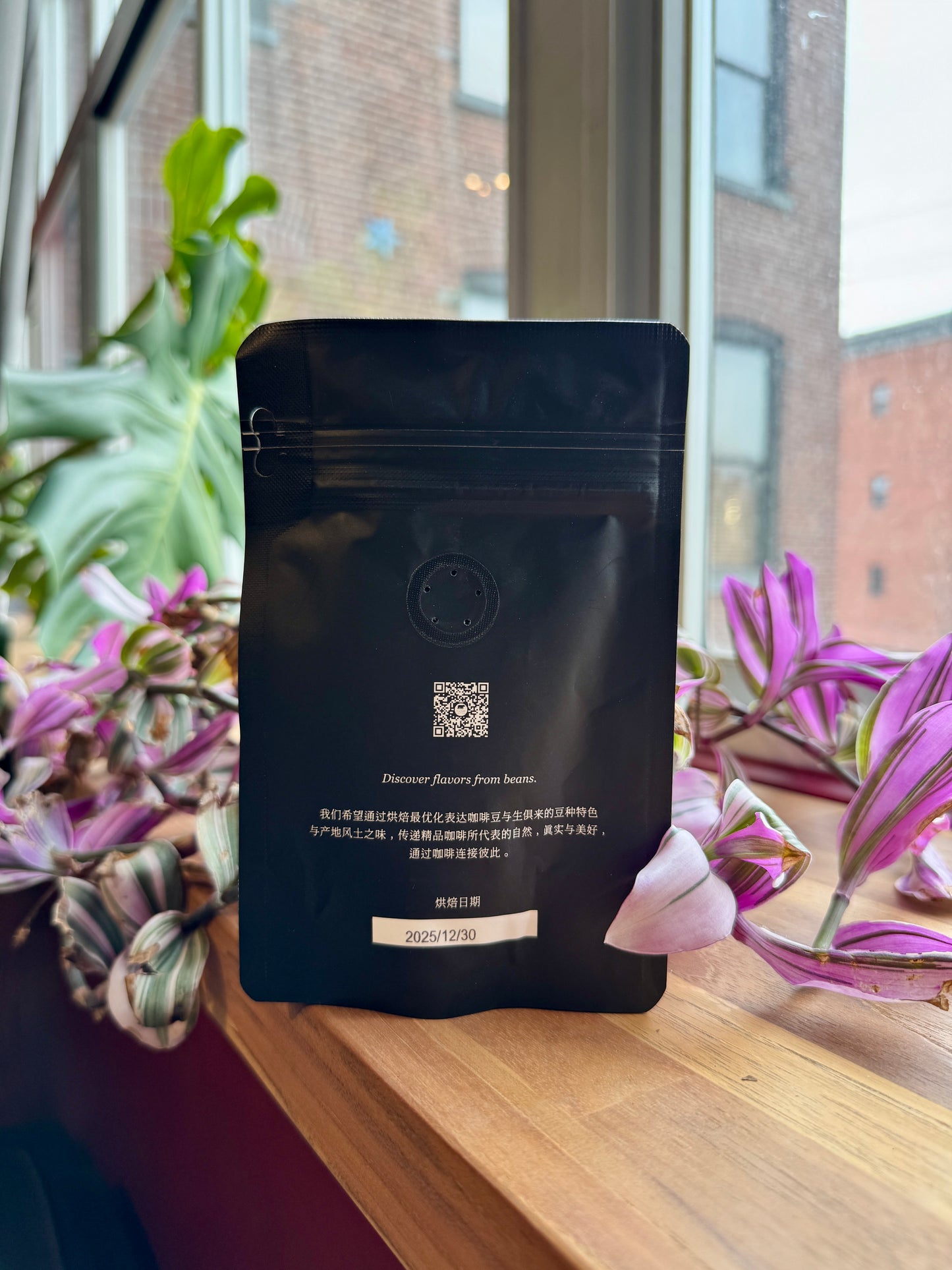 BIG SUR - FINCA SOPHIA HERITAGE COLLECTION COLIBRI WASHED GEISHA FS14425