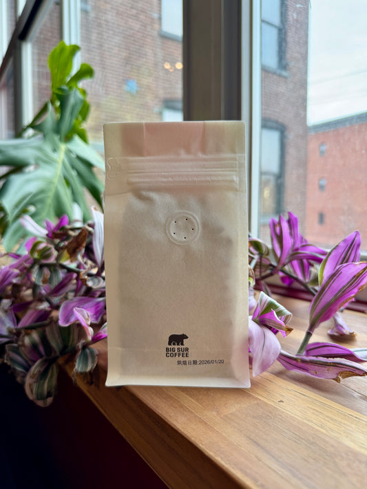 BIG SUR - KENYA WASHED THIRIKU AA TOP