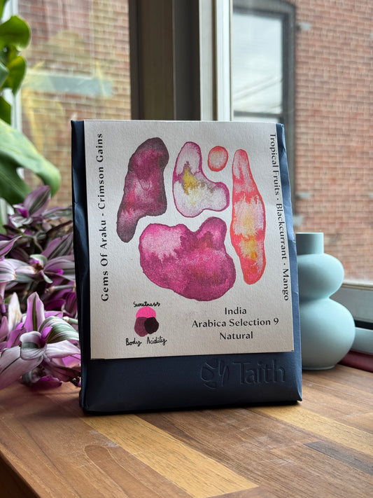 GEMS OF ARAKU CRIMSON GAINS - NATURAL - INDIA