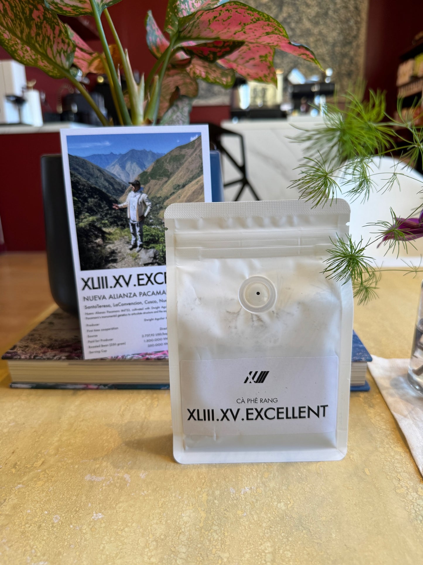 NUEVA ALIANZA #4733 - PACAMARA, WASHED - PERU