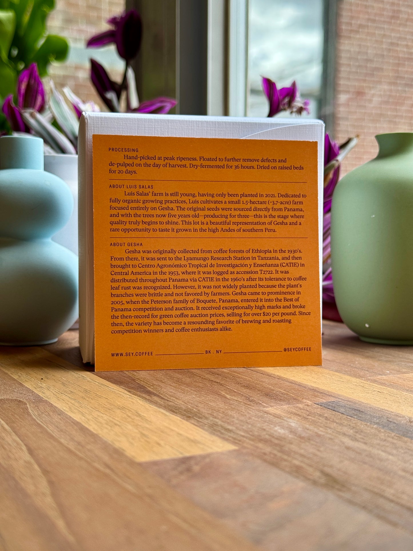 EL PARAISO – LUIS SALAS – GESHA, WASHED – PERU