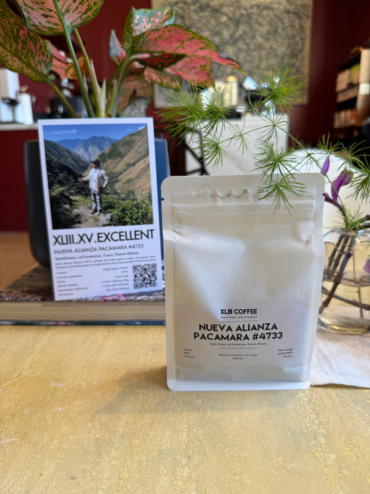 NUEVA ALIANZA #4733 - PACAMARA, WASHED - PERU