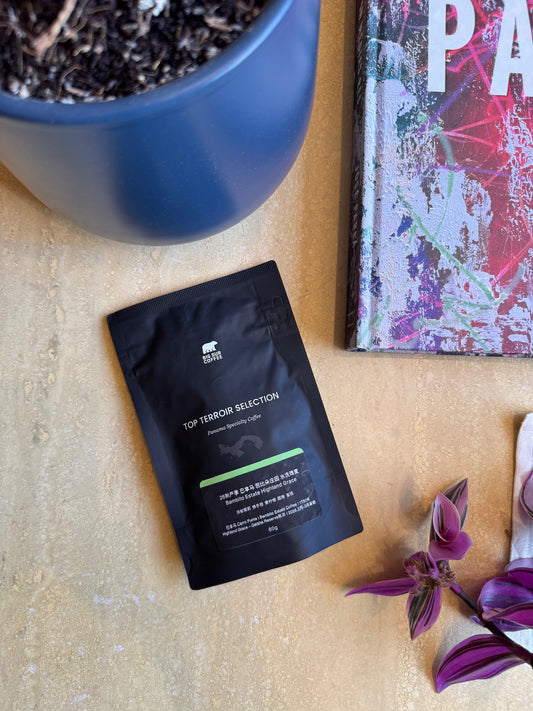 BAMBITO ESTATE “HIGHLAND GRACE” - GEISHA, WASHED - PANAMA