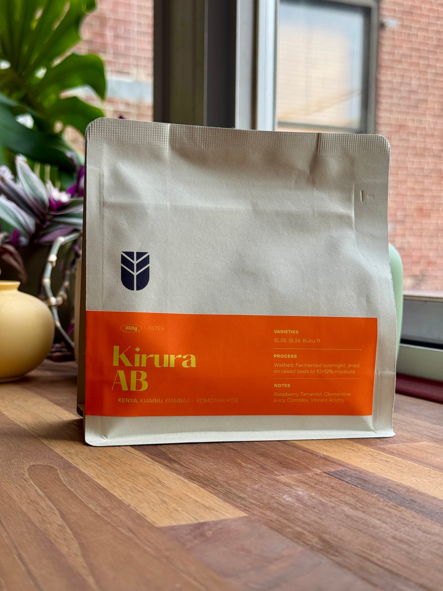 KIRURA AB - SL28, SL34, RUIRU 11, WASHED - KENYA