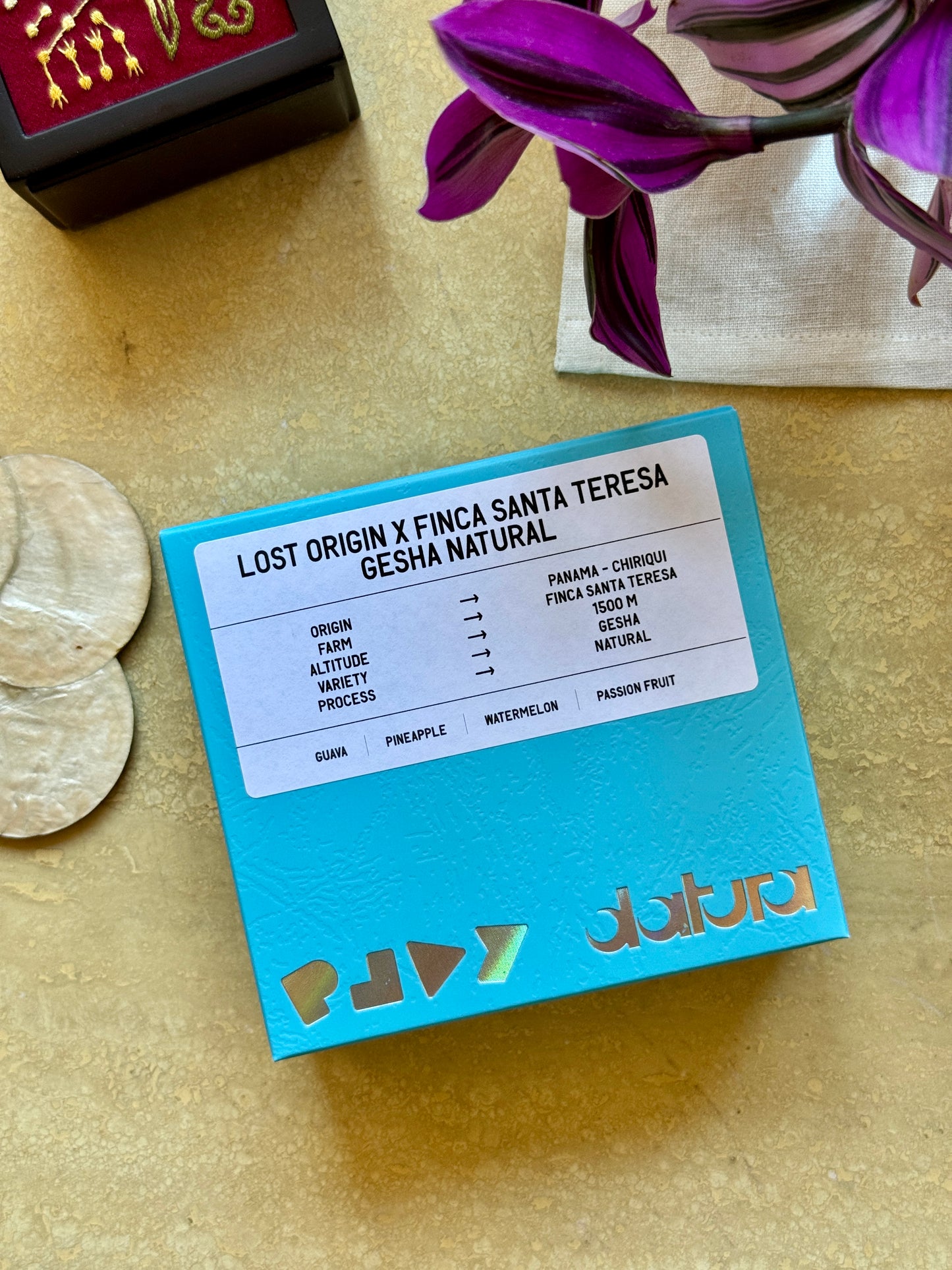 PLAY - LOST ORIGIN X FINCA SANTA TERESA - GESHA, NATURAL - PANAMA