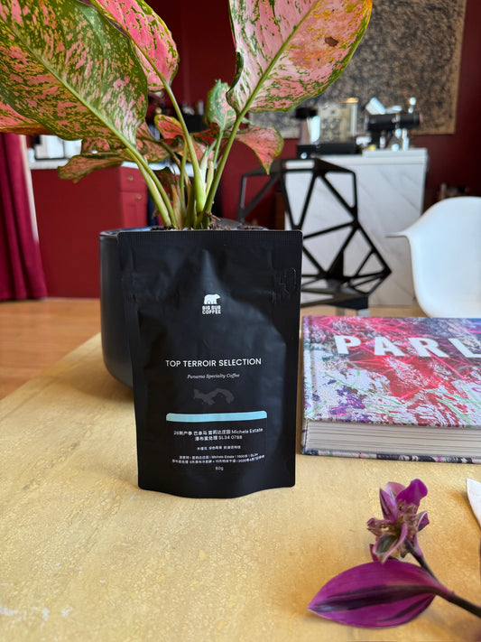 FINCA LERIDA MICHELA ESTATE 0788 - SL34, WATERFALL HONEY - PANAMA