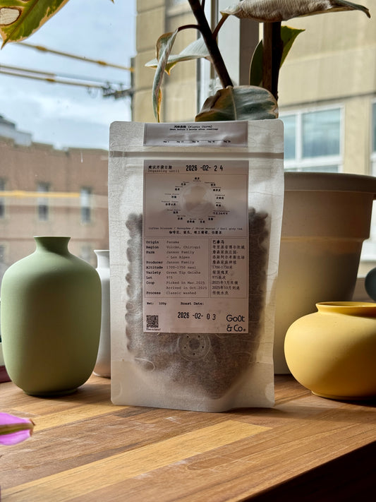 JANSON FAMILY LOS ALPES – GREEN TIP GEISHA, CLASSIC WASHED – PANAMA