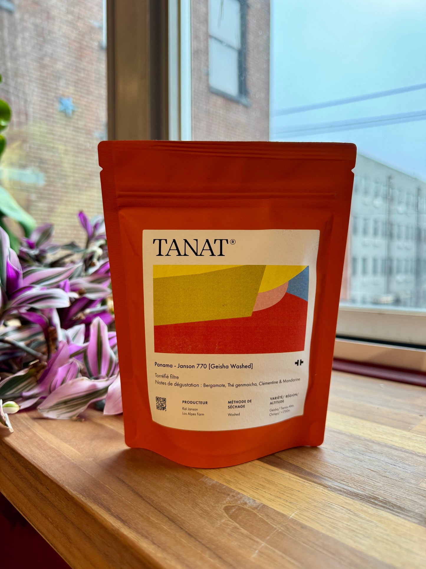 JANSON 770 - GEISHA, WASHED - PANAMA