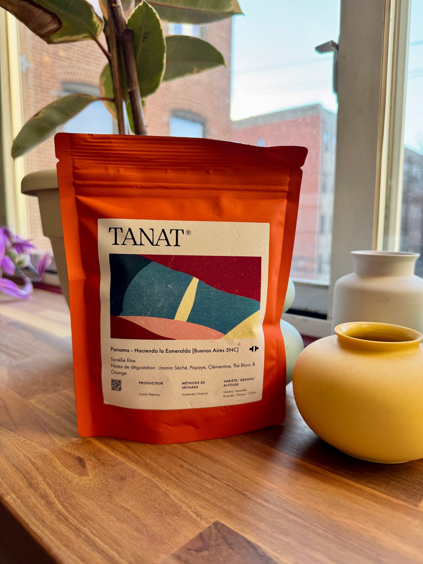 TANAT - HACIENDA LA ESMERALDA – BUENOS AIRES – 5B ANC