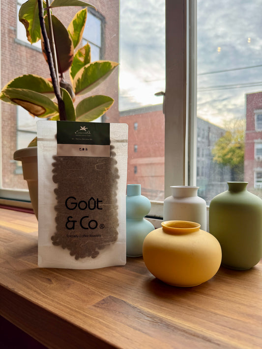 GOÛT & CO - LA ESMERALDA EL VELO GEISHA WASHED