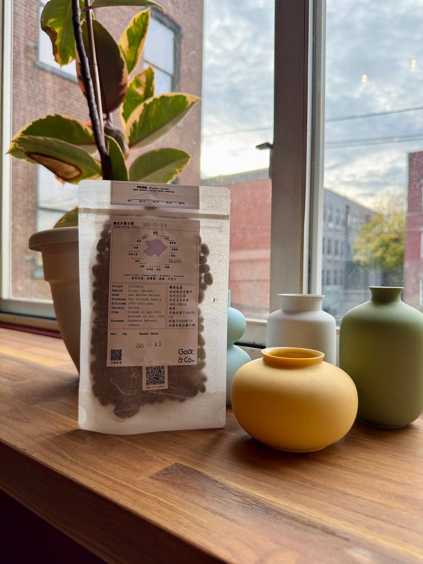 GOÛT & CO - LAS MARÍAS ESTATE GEISHA OXYDATOR NATURAL