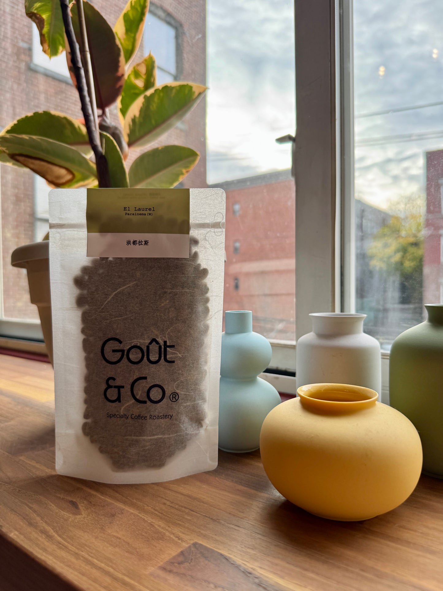 GOÛT & CO - EL LAUREL PARAINEMA WASHED