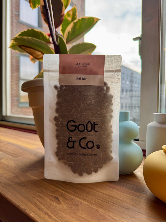 GOÛT & CO - LOS PINOS GEISHA WASHED