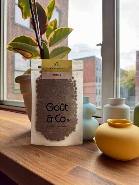 GOÛT & CO - TESTI AYLA SHANTAWENE 74110 & 74158 WASHED