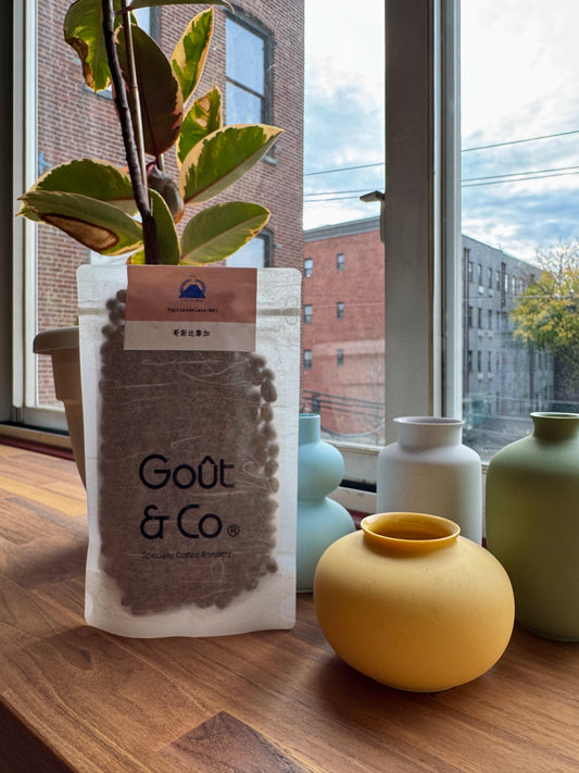 GOÛT & CO - VOLCAN AZUL TYPICA & GEISHA WARM RED HONEY