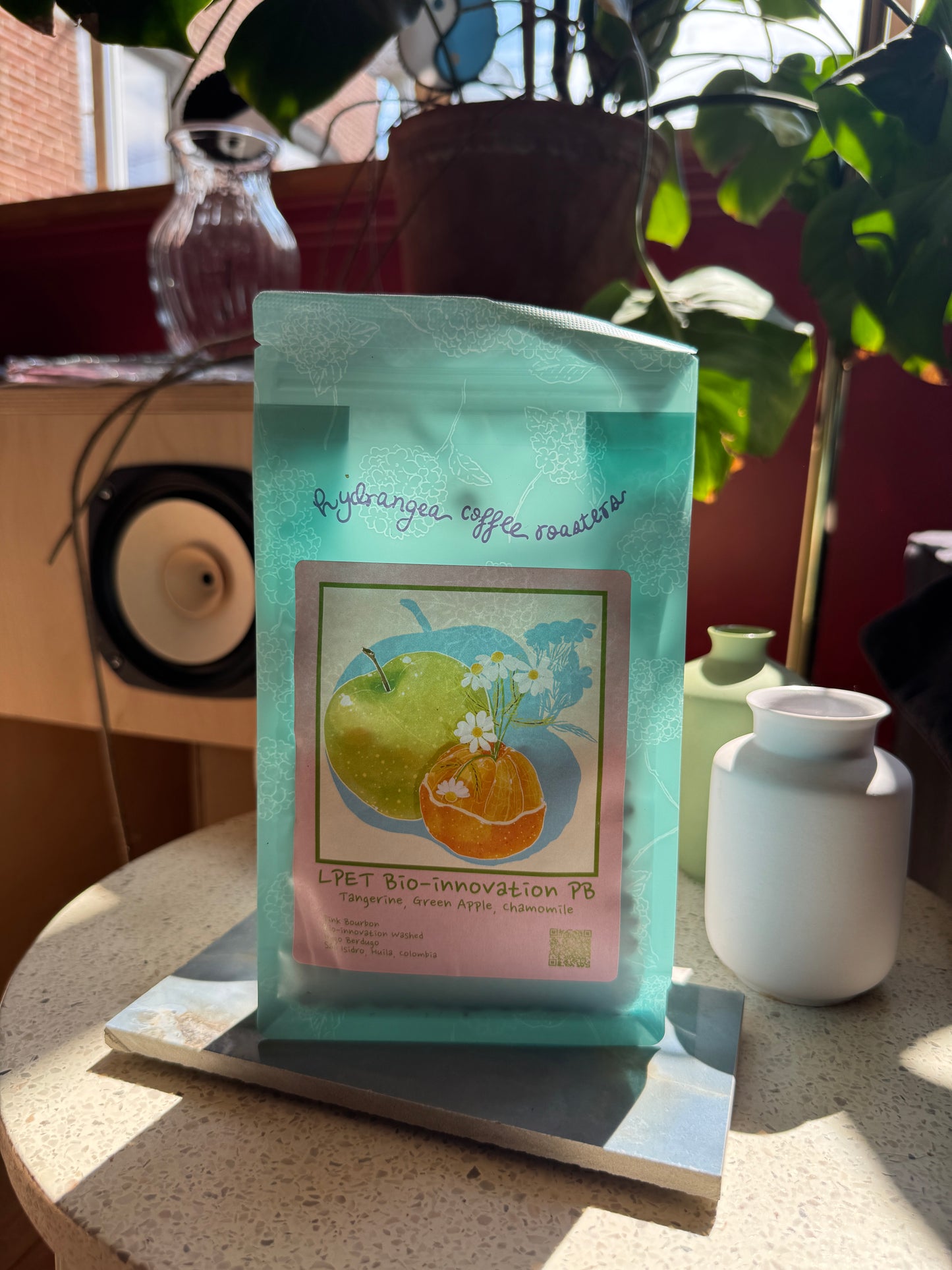 HYDRANGEA - LA PALMA & EL TUCÁN