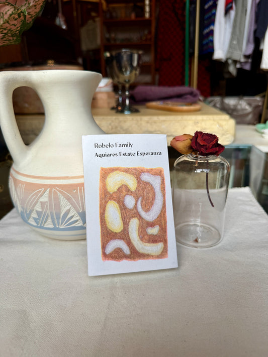 TAITH - AQUIARES ESTATE ESPERANZA - WASHED