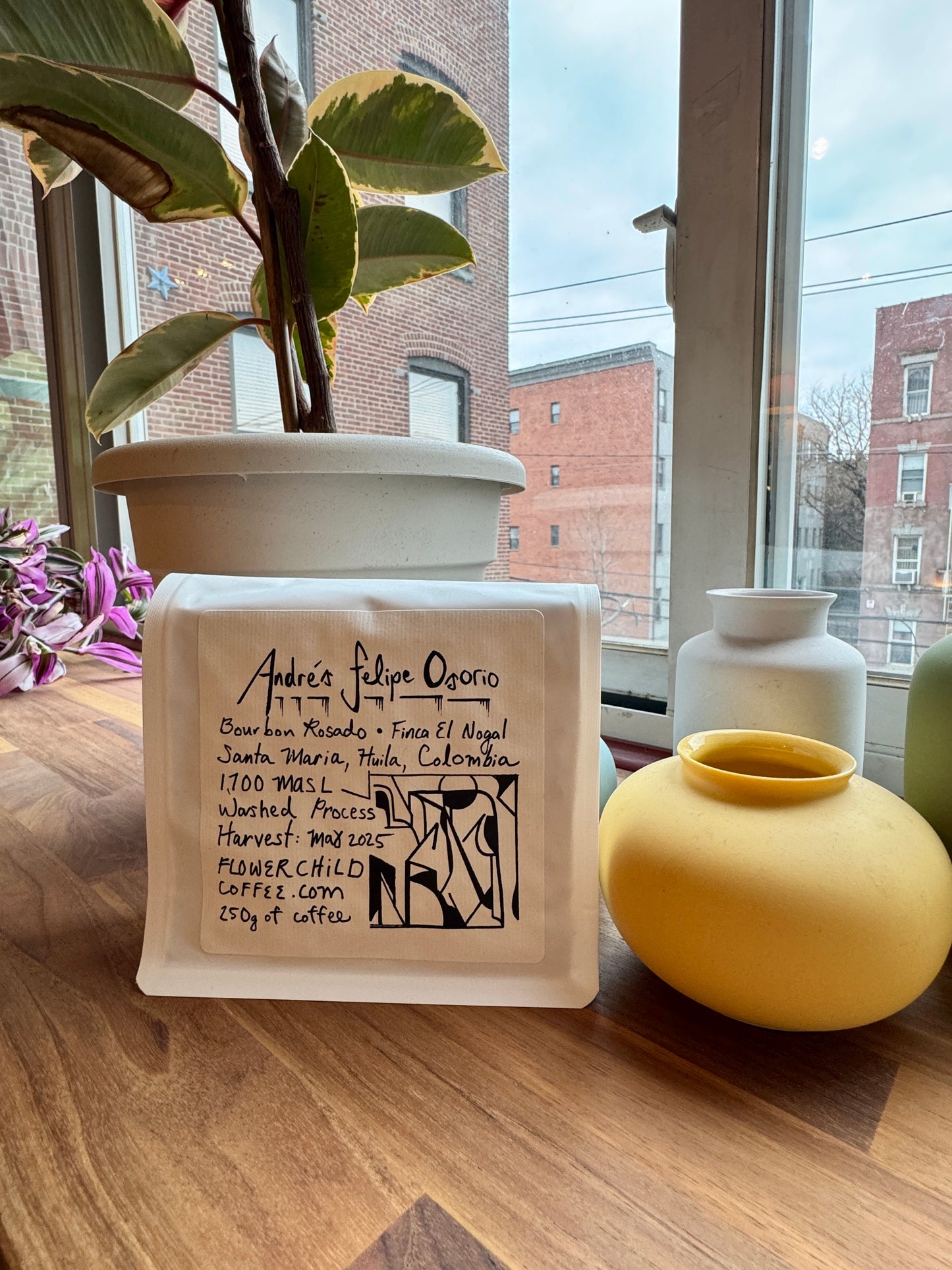 FLOWER CHILD - ANDRÉS FELIPE OSORIO PINK BOURBON