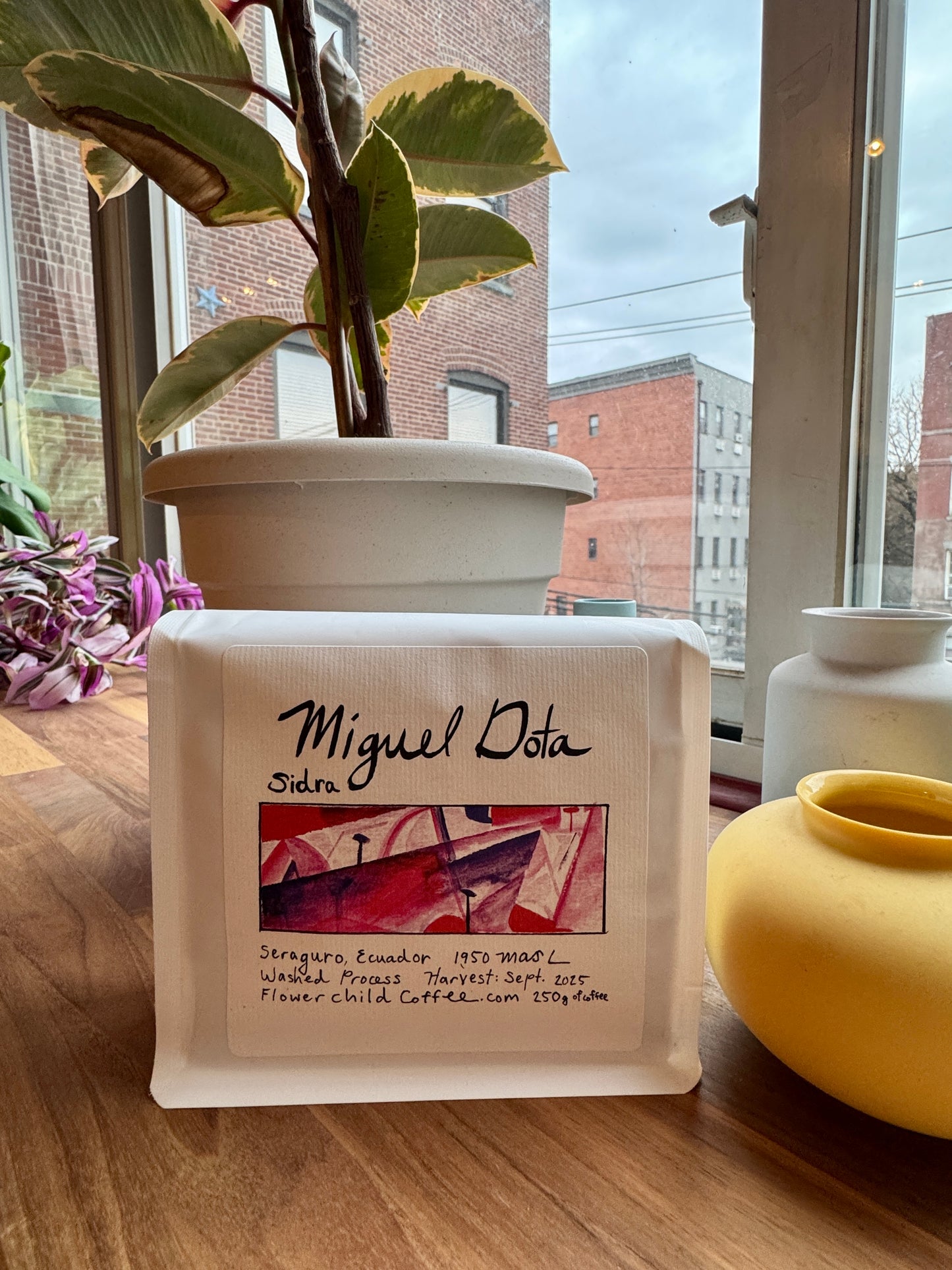 FLOWER CHILD - MIGUEL DOTA SIDRA