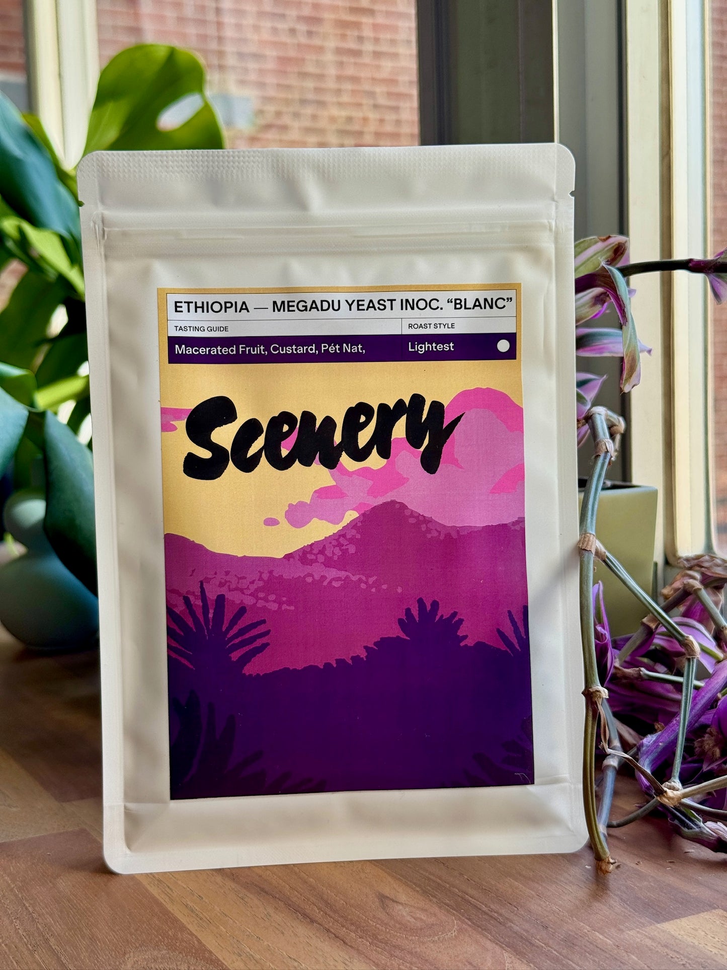 MEGADU "BLANC" LOT-B - WILD GUJI LANDRACE, 74112 & 74158, YEAST INOCULATED ANOXIC NATURAL - ETHIOPIA