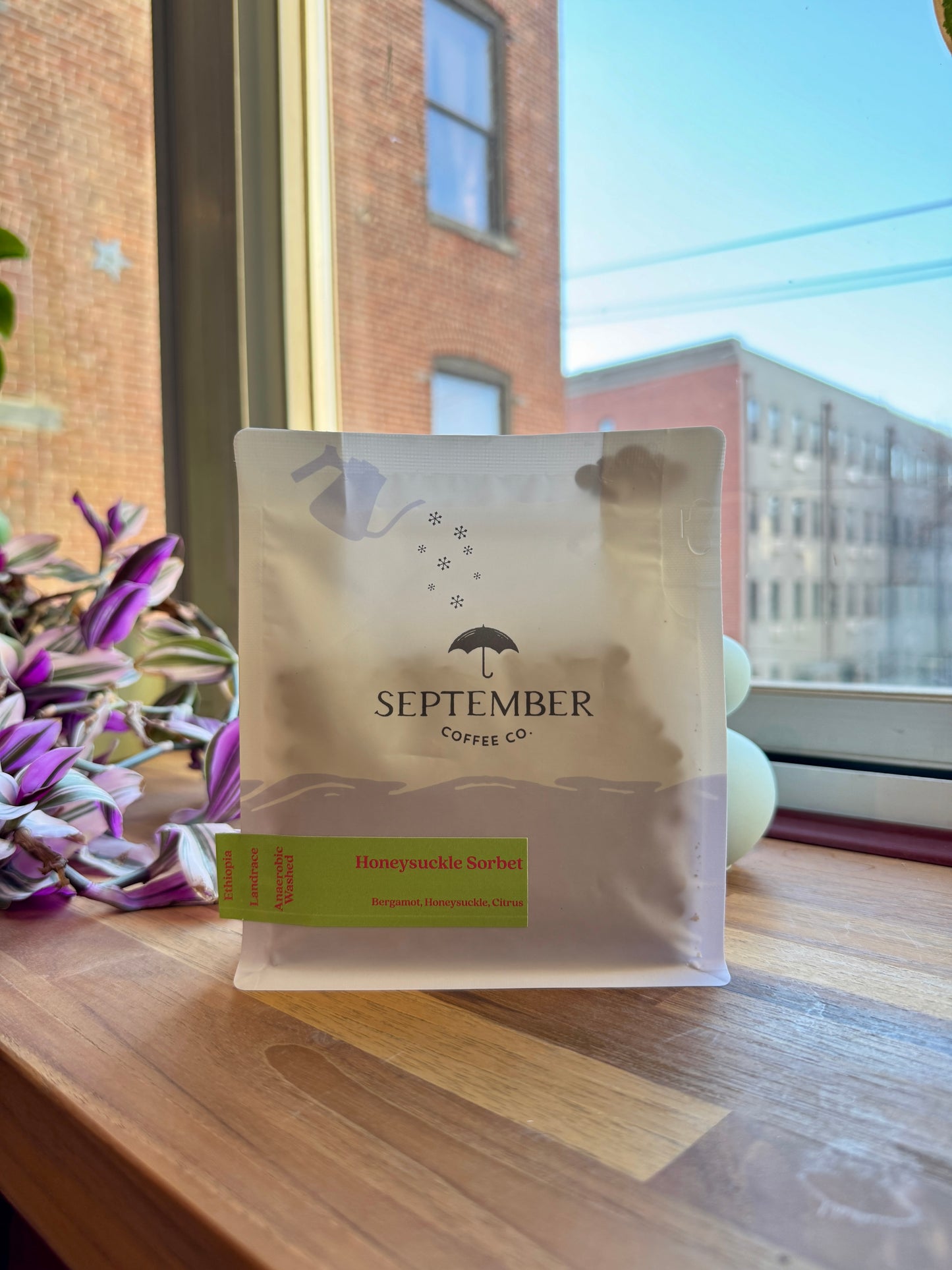 HONEYSUCKLE SORBET