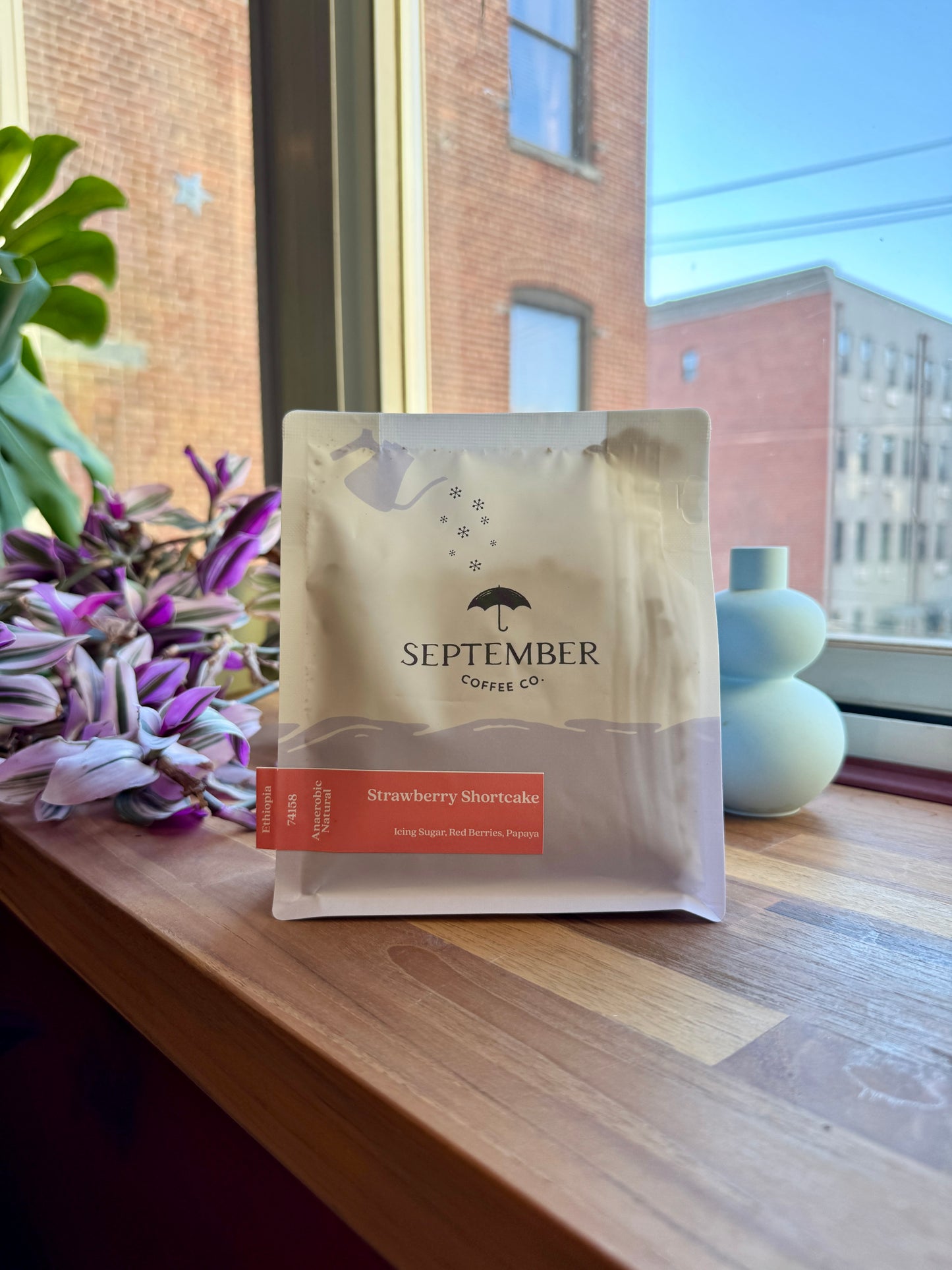 STRAWBERRY SHORTCAKE