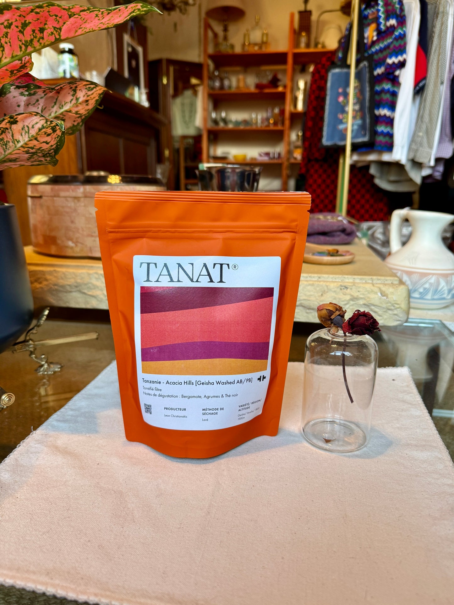 TANAT - ACACIA HILLS - GEISHA WASHED AB / PB