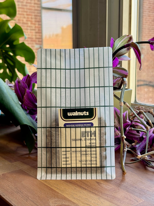 NIGUSSE GEMEDA MORKE - 74158, SLOW DRY NATURAL - ETHIOPIA