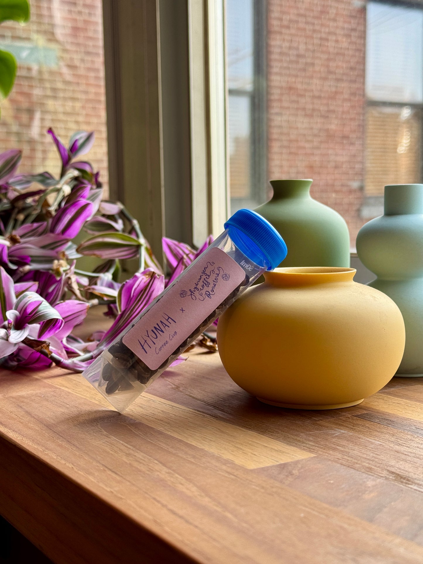 HYDRANGEA x HYUNAH - NUGUO 768 NHF - GESHA, HONEY - PANAMA
